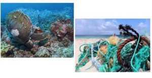 Twelve cases that pollute the oceans - دوازده کثیف کننده اقانوس ها