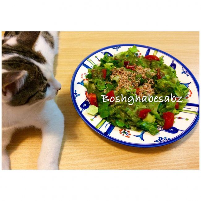 salad سالاد-کاهو-سس-سبزی-وگان-وگن
